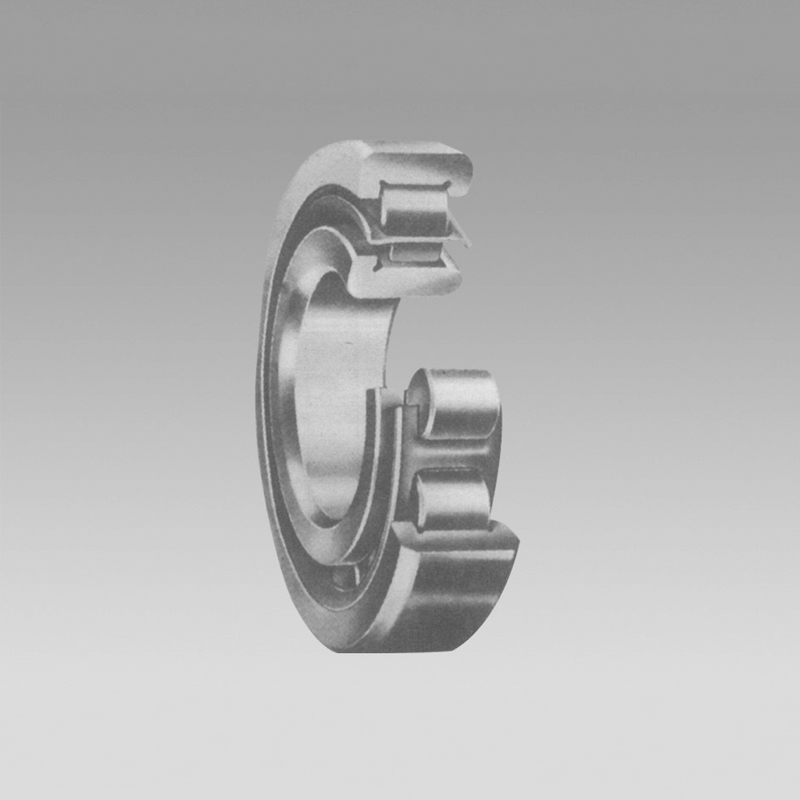 Cylindrical Roller Bearings